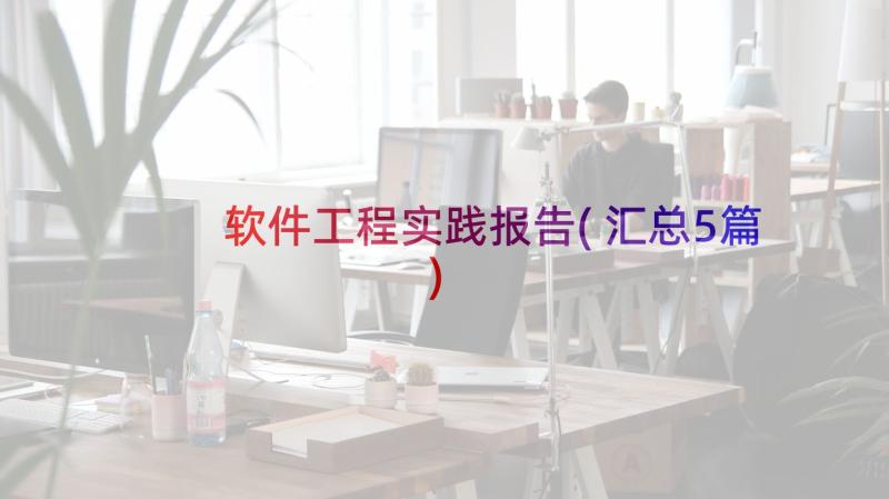 软件工程实践报告(汇总5篇)