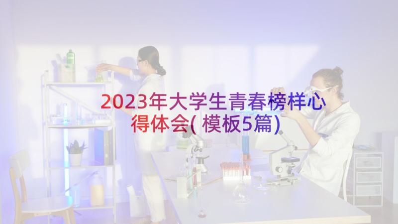 2023年大学生青春榜样心得体会(模板5篇)