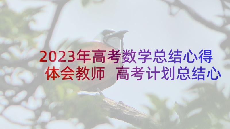 2023年高考数学总结心得体会教师 高考计划总结心得体会(优质10篇)