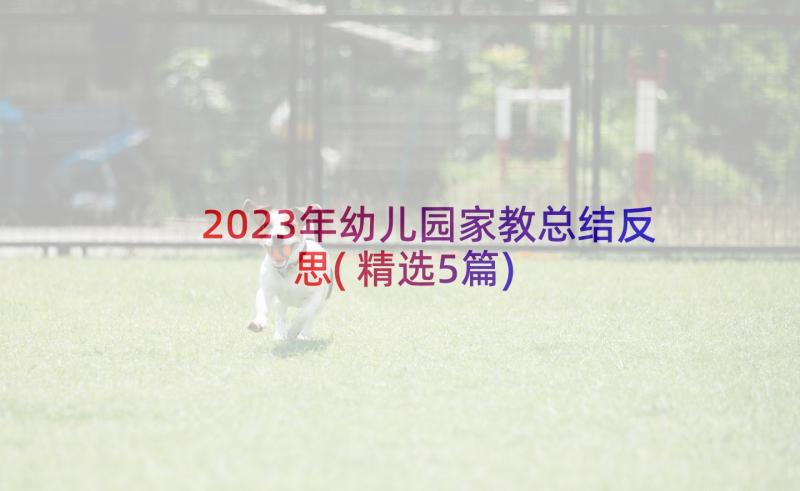 2023年幼儿园家教总结反思(精选5篇)