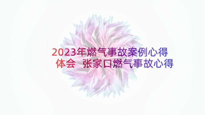 2023年燃气事故案例心得体会 张家口燃气事故心得体会(大全5篇)