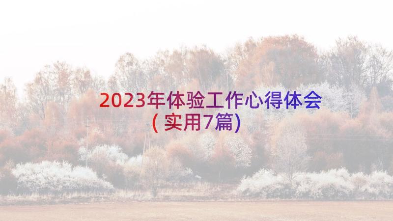 2023年体验工作心得体会(实用7篇)