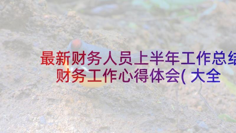 最新财务人员上半年工作总结 财务工作心得体会(大全6篇)