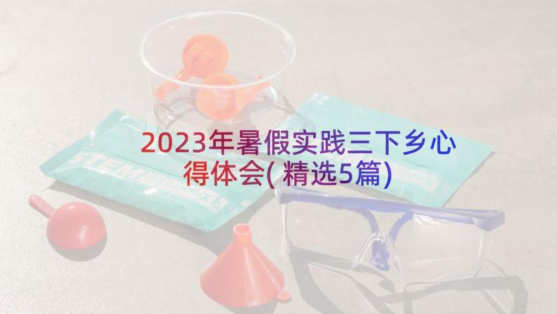 2023年暑假实践三下乡心得体会(精选5篇)