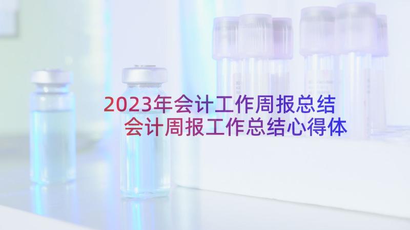 2023年会计工作周报总结 会计周报工作总结心得体会(优秀6篇)