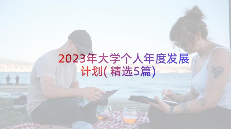 2023年大学个人年度发展计划(精选5篇)