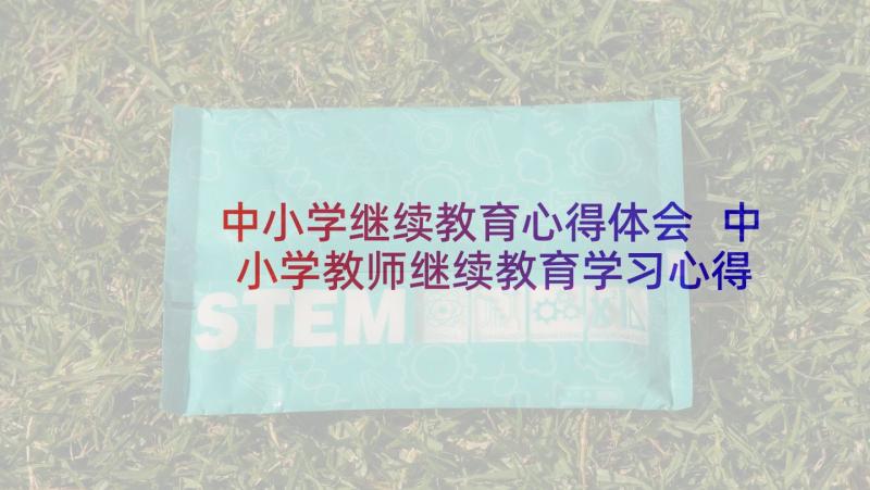 中小学继续教育心得体会 中小学教师继续教育学习心得体会(汇总5篇)