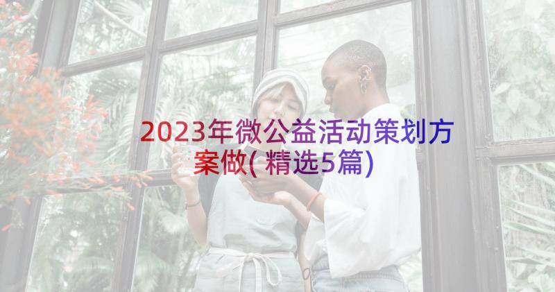 2023年微公益活动策划方案做(精选5篇)