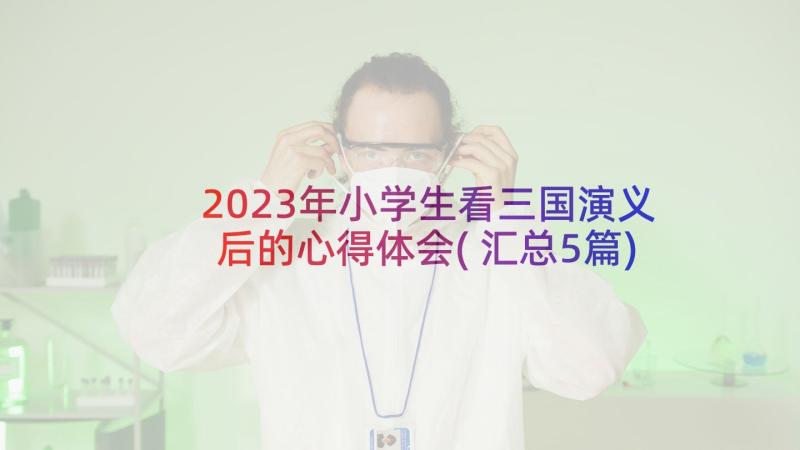 2023年小学生看三国演义后的心得体会(汇总5篇)