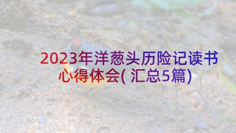 2023年洋葱头历险记读书心得体会(汇总5篇)