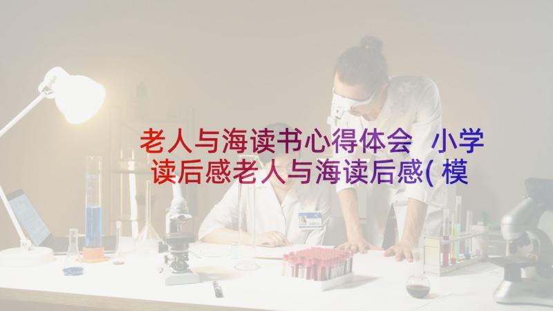 老人与海读书心得体会 小学读后感老人与海读后感(模板8篇)