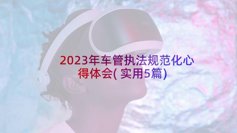 2023年车管执法规范化心得体会(实用5篇)