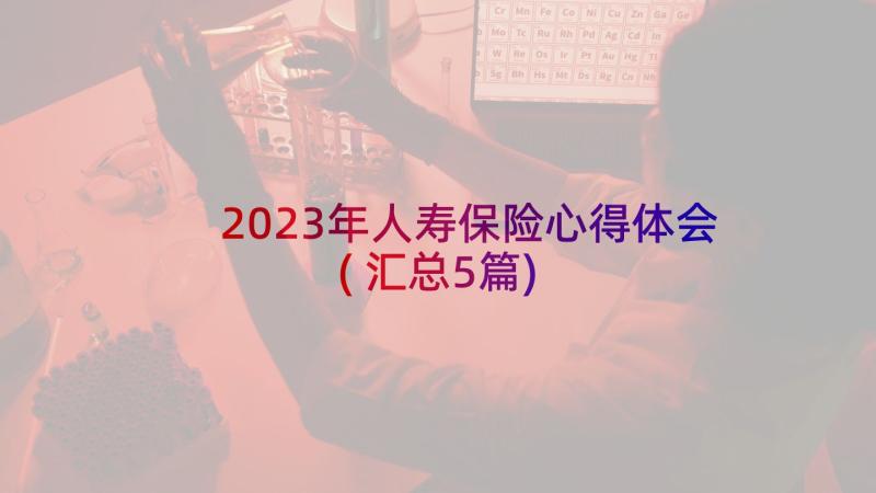 2023年人寿保险心得体会(汇总5篇)