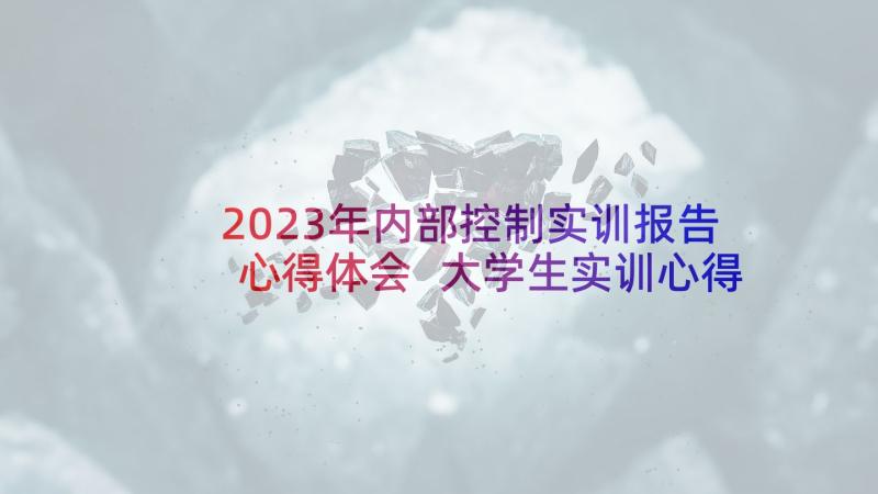 2023年内部控制实训报告心得体会 大学生实训心得体会(通用5篇)