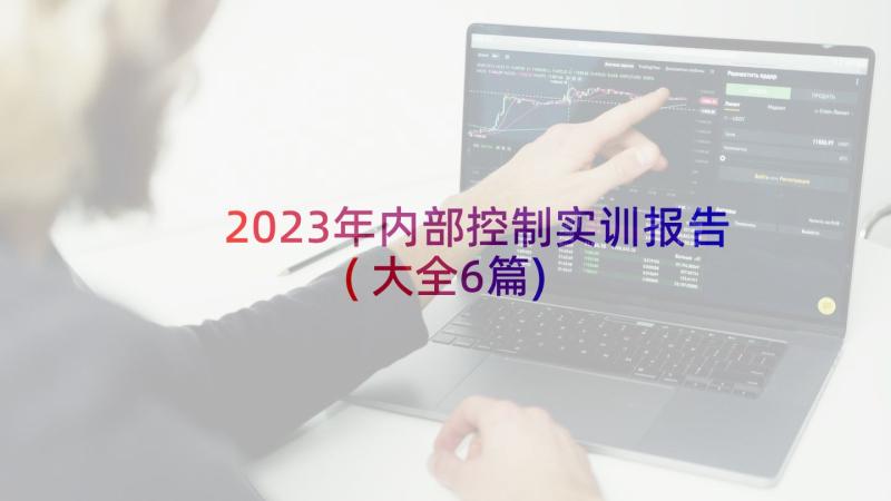 2023年内部控制实训报告(大全6篇)