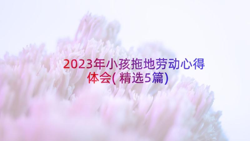 2023年小孩拖地劳动心得体会(精选5篇)