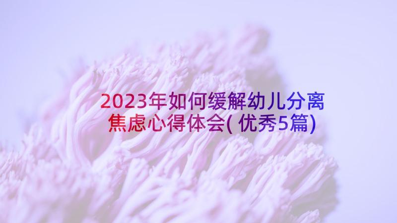 2023年如何缓解幼儿分离焦虑心得体会(优秀5篇)