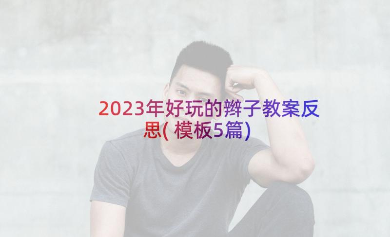 2023年好玩的辫子教案反思(模板5篇)