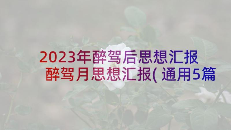 2023年醉驾后思想汇报 醉驾月思想汇报(通用5篇)