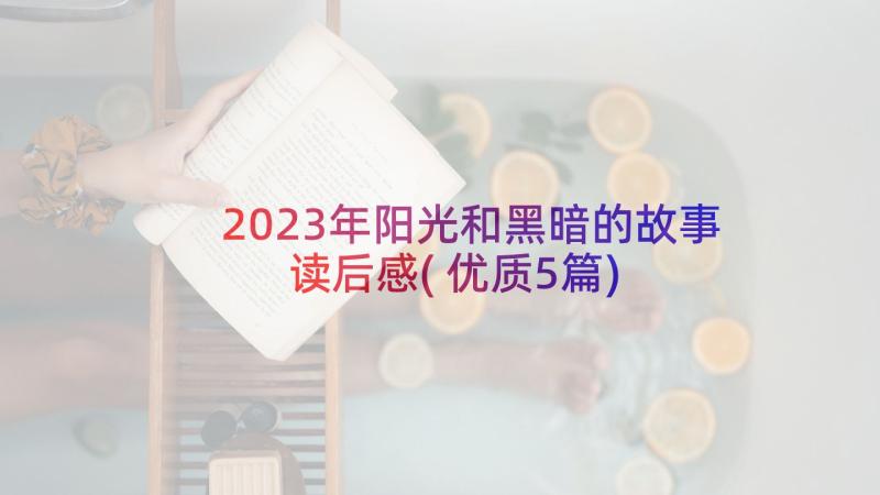 2023年阳光和黑暗的故事读后感(优质5篇)