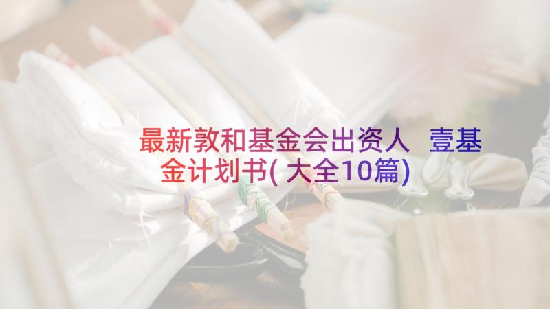 最新敦和基金会出资人 壹基金计划书(大全10篇)