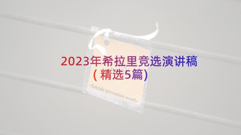 2023年希拉里竞选演讲稿(精选5篇)