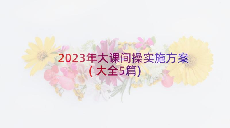 2023年大课间操实施方案(大全5篇)