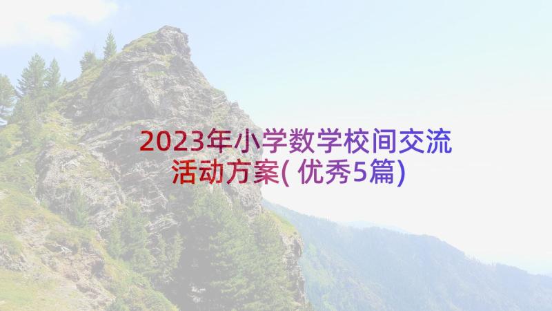 2023年小学数学校间交流活动方案(优秀5篇)