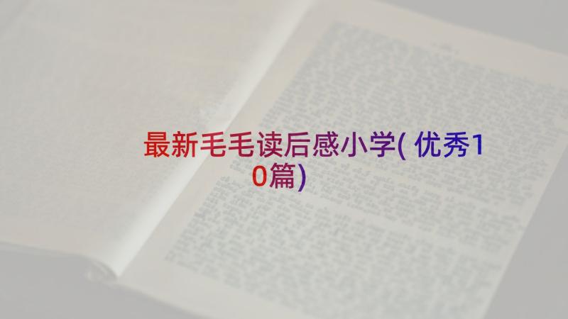 最新毛毛读后感小学(优秀10篇)