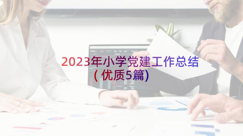 2023年小学党建工作总结(优质5篇)