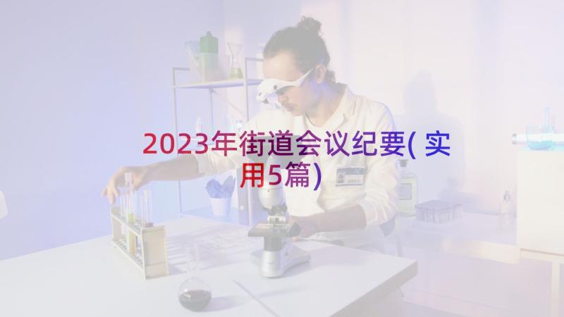 2023年街道会议纪要(实用5篇)