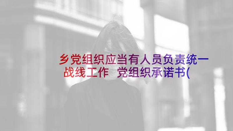 乡党组织应当有人员负责统一战线工作 党组织承诺书(实用9篇)