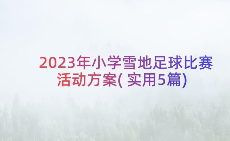 2023年小学雪地足球比赛活动方案(实用5篇)