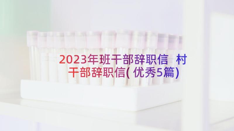 2023年班干部辞职信 村干部辞职信(优秀5篇)