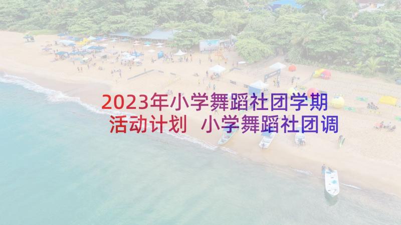 2023年小学舞蹈社团学期活动计划 小学舞蹈社团调查总结(通用5篇)