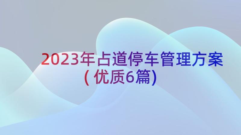 2023年占道停车管理方案(优质6篇)