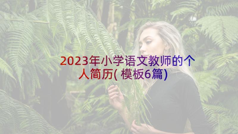 2023年小学语文教师的个人简历(模板6篇)