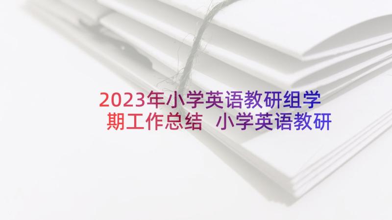 2023年小学英语教研组学期工作总结 小学英语教研组工作计划(模板7篇)