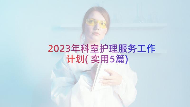 2023年科室护理服务工作计划(实用5篇)