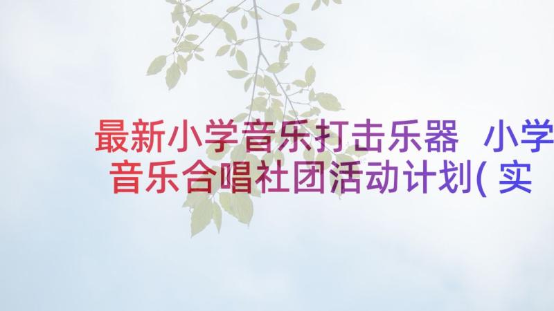 最新小学音乐打击乐器 小学音乐合唱社团活动计划(实用5篇)