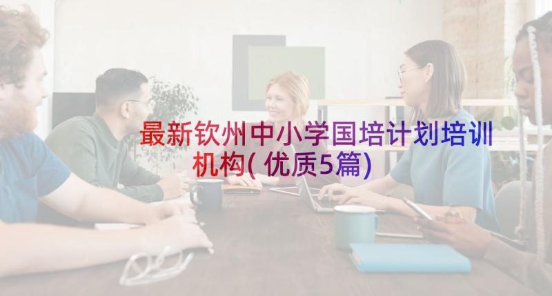 最新钦州中小学国培计划培训机构(优质5篇)