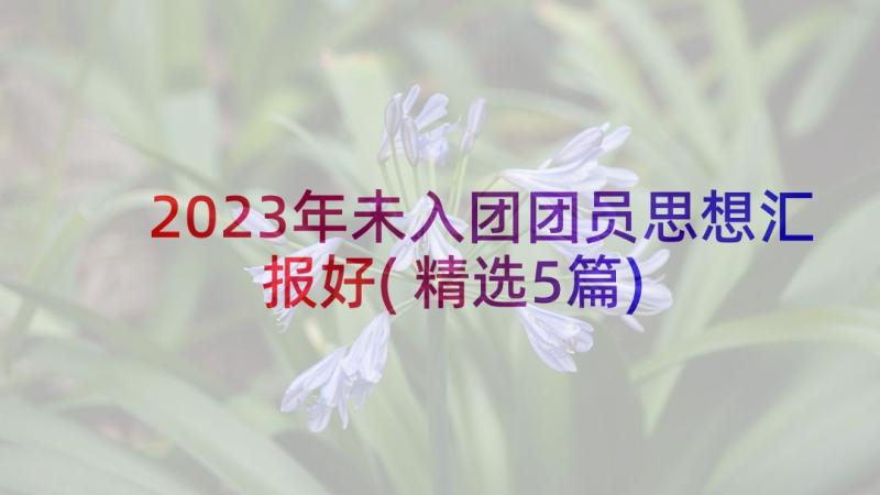 2023年未入团团员思想汇报好(精选5篇)