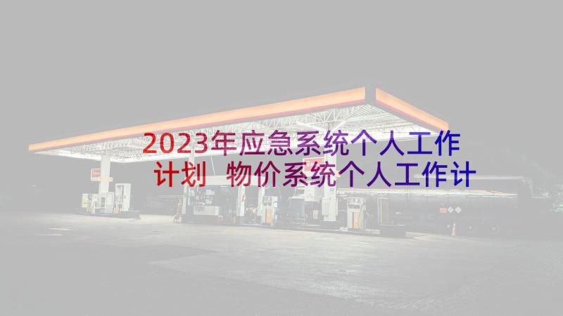 2023年应急系统个人工作计划 物价系统个人工作计划(大全5篇)