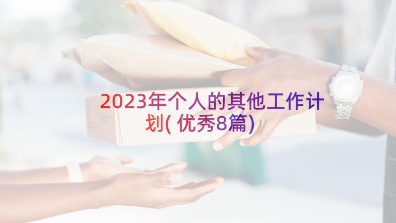 2023年个人的其他工作计划(优秀8篇)