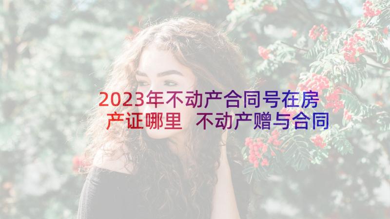 2023年不动产合同号在房产证哪里 不动产赠与合同(通用10篇)