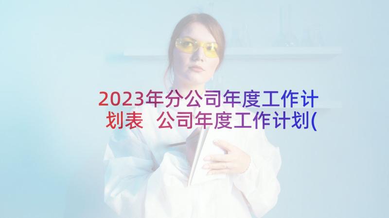 2023年分公司年度工作计划表 公司年度工作计划(通用10篇)