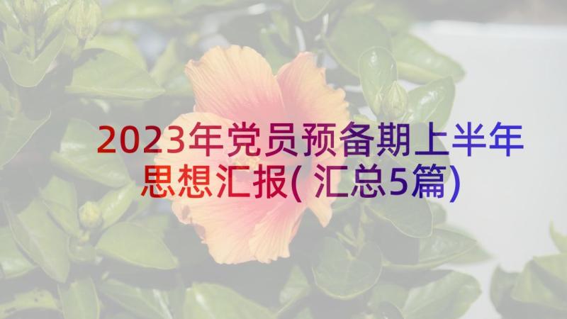 2023年党员预备期上半年思想汇报(汇总5篇)