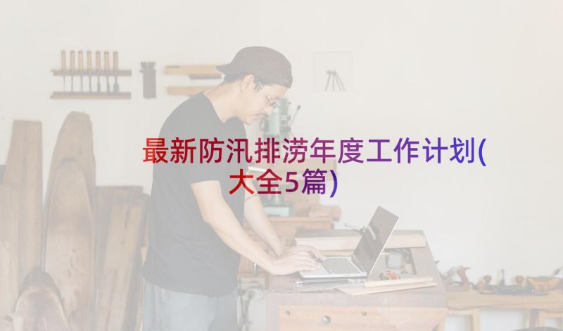 最新防汛排涝年度工作计划(大全5篇)