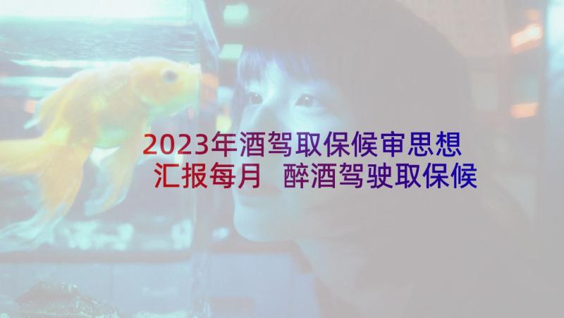 2023年酒驾取保候审思想汇报每月 醉酒驾驶取保候审每月思想汇报(优秀5篇)