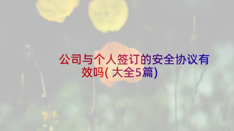 公司与个人签订的安全协议有效吗(大全5篇)